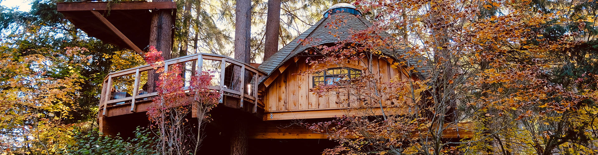 Overnachten in een boomhut in Nederland