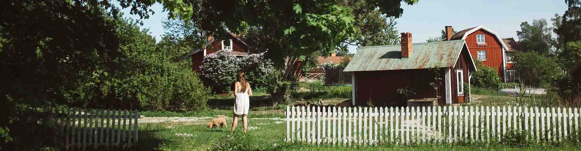 vakantiehuizen in de ardennen met hond